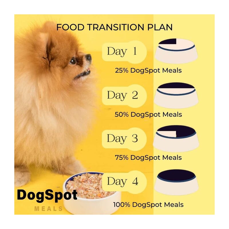 DogSpot Meals Chicken Gravy with Goodness of Curcumin for Large Dogs, 300 gm - Wagr - The Smart Petcare Platform