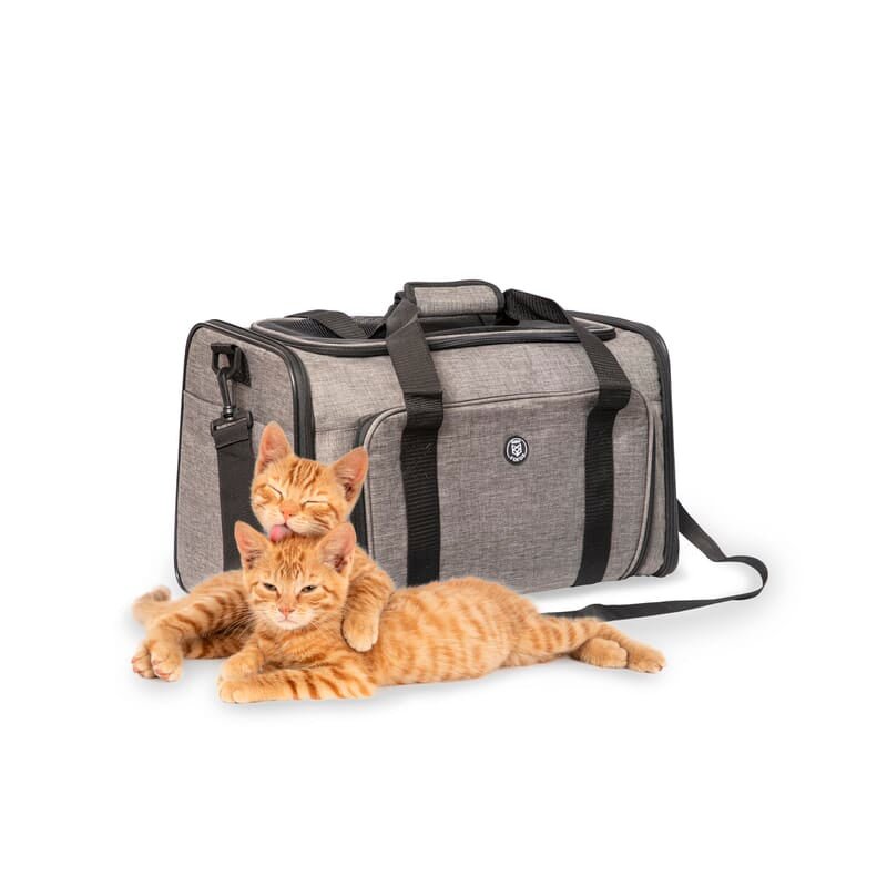 Foldable pet outlet carrier