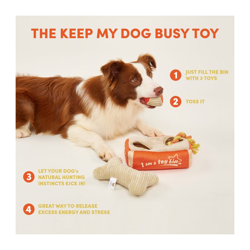 Dog toys to hide treats outlet in