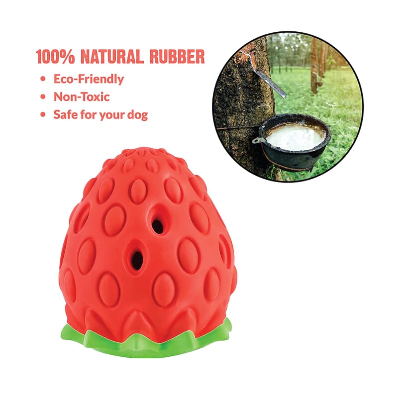 Goofy Tails Fruity Bites Strawberry Dog Toy - Wagr - The Smart Petcare Platform