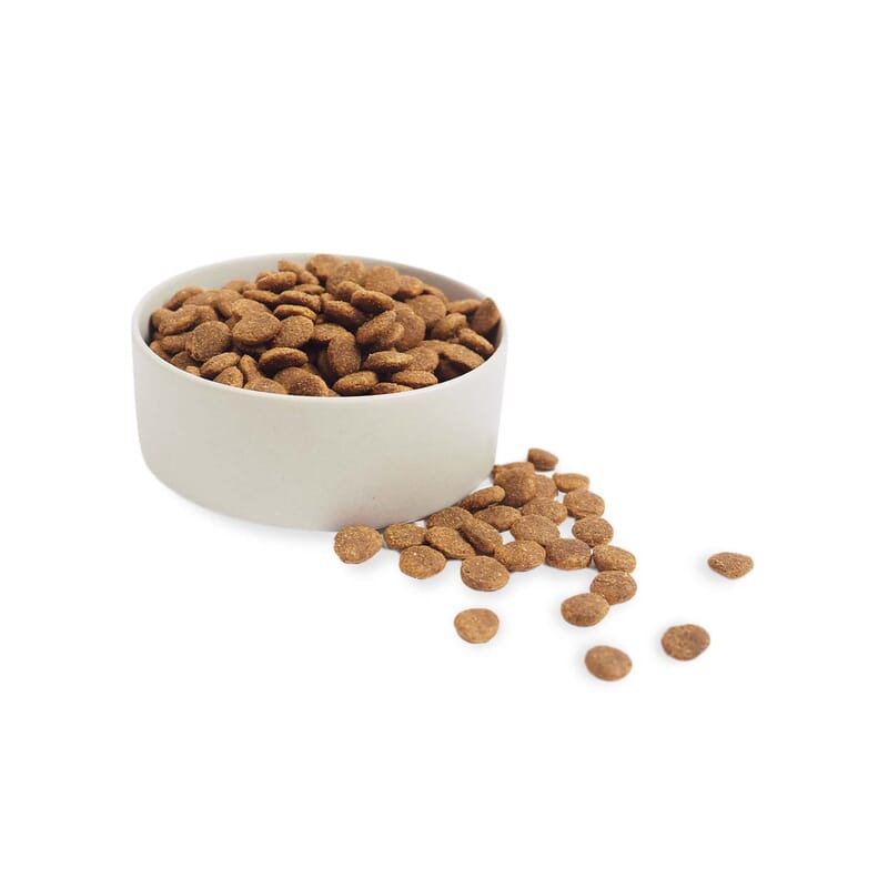 Grain free dog food outlet without potato and peas