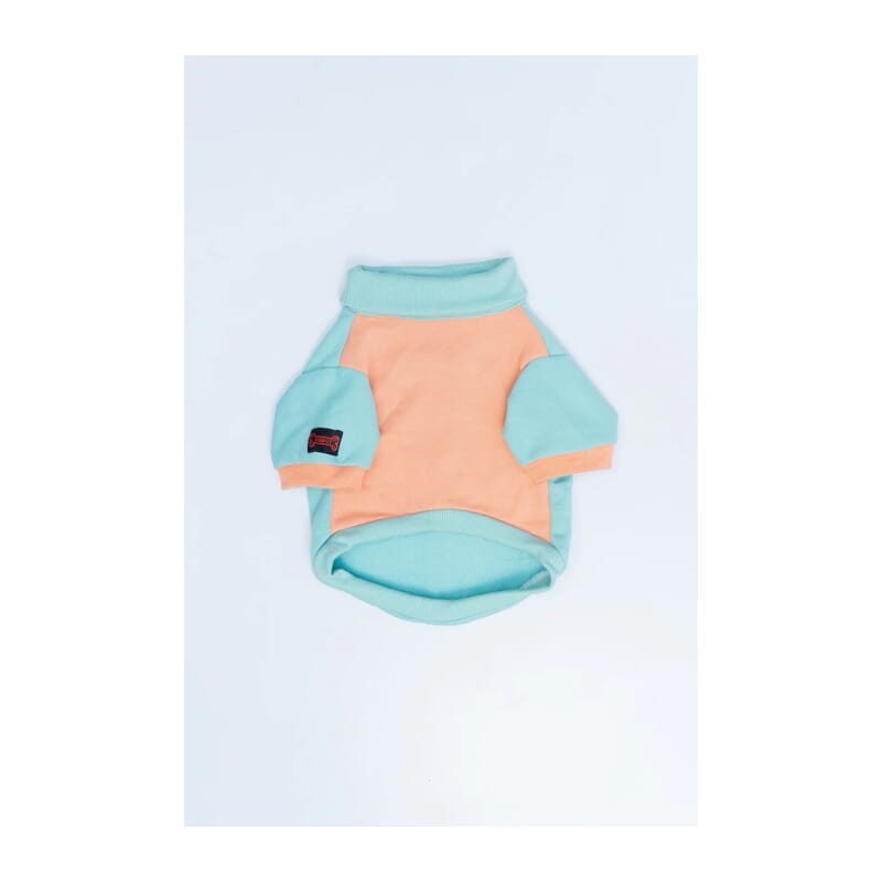 Pawgy Pets High Neck Sweater for Dogs - Mint with Peach - Wagr Petcare