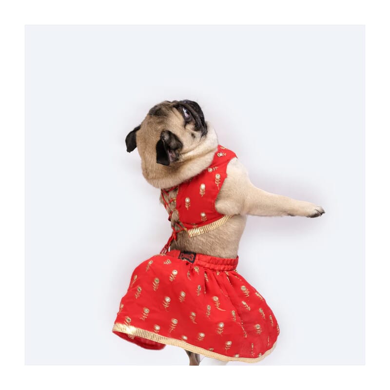 Pawgy Pets Lehenga for Dogs and Cats - Wagr Petcare