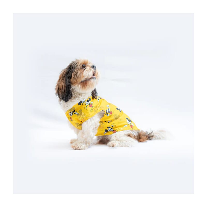 Pawgy Pets Mickey Shirt - Wagr Petcare