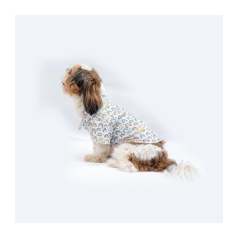 Pawgy Pets Rainbow Shirt - Wagr Petcare