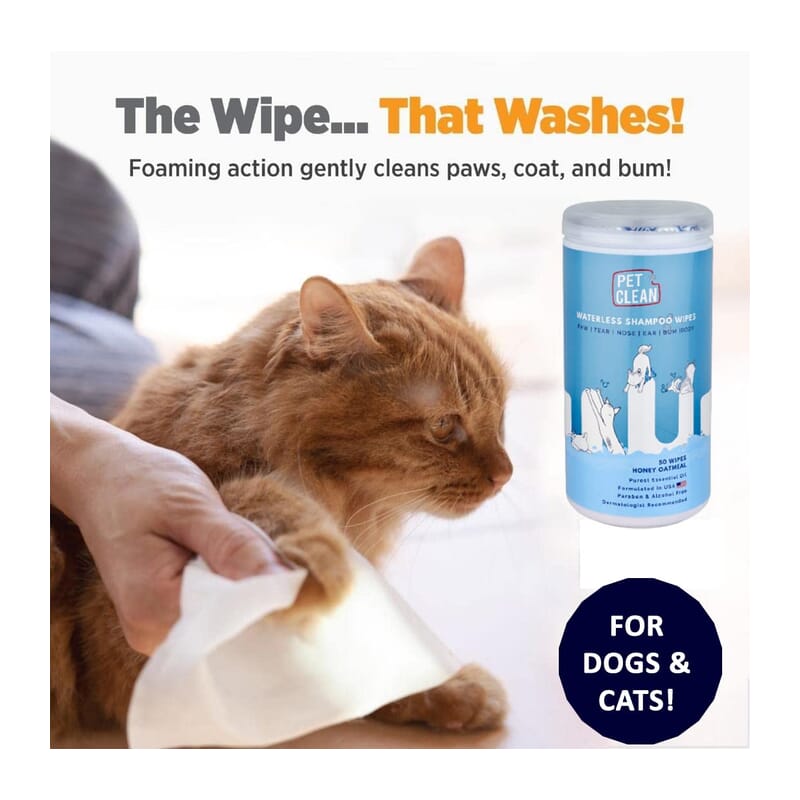 Cat wipes hot sale for bum