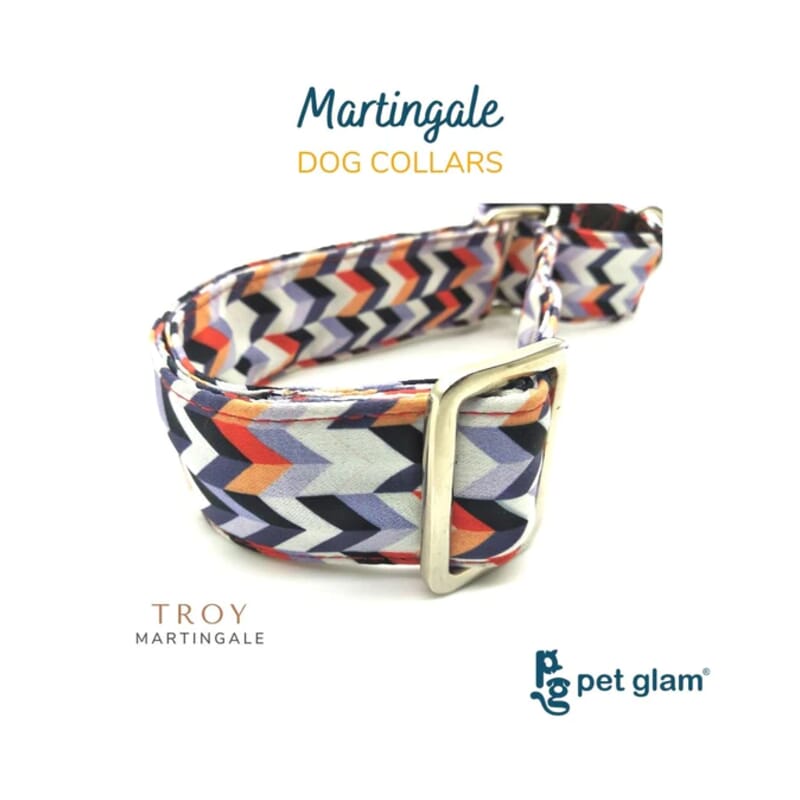 Pet Glam Martingale Dog Collar, Troy - Wagr - The Smart Petcare Platform