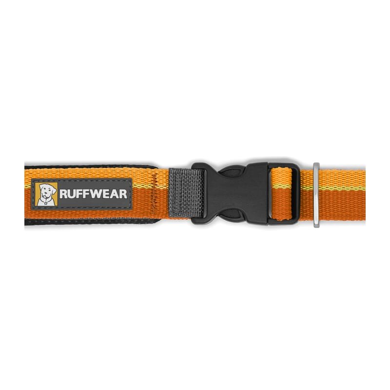 Ruffwear Roamer™ Leash for Dogs - Wagr - The Smart Petcare Platform