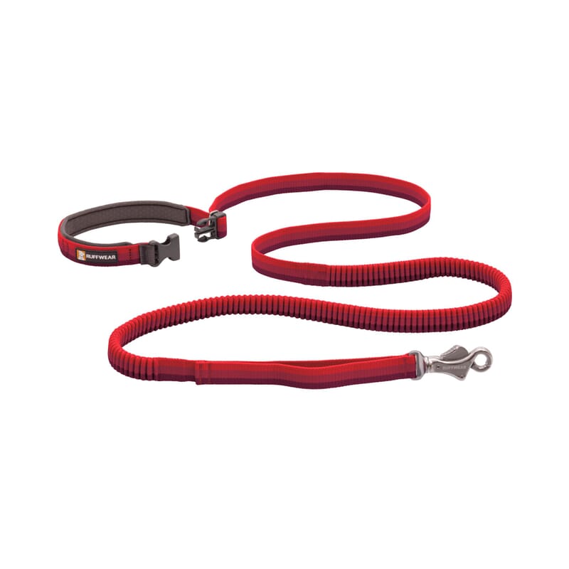 Ruffwear Roamer Leash for Dogs - Wagr - The Smart Petcare Platform